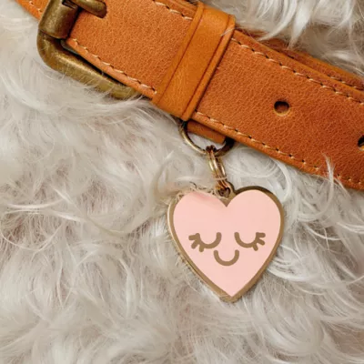 Product Two Tails Pet Company - Smiling Heart Personalized Pet ID Tag