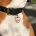 Two Tails Pet Company - Smiling Heart Personalized Pet ID Tag image thumbnail 3