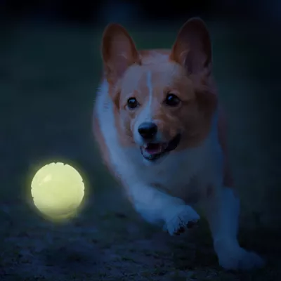 Product Nerf Scent Glow-In-The-Dark Light Balls Dog Toy 3 Count