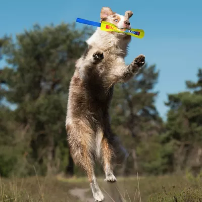 Product Nerf Fetch & Tug Dog Toy