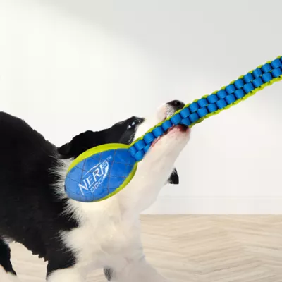 Product Nerf Vortex Chain Squeaker Dog Toy