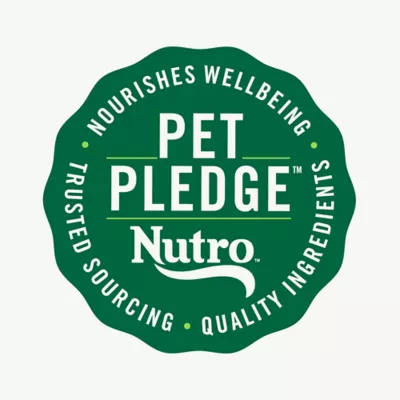 Product Nutro Cat -  Adult, Wet Food, Cuts in Gravy, Split Cup, 2.64 OZ