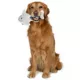 Product GMason Jaws Rope BodyPlush Dog Toy