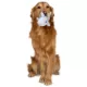 Product GMason Jaws Smiky Ball Plush Dog Toy