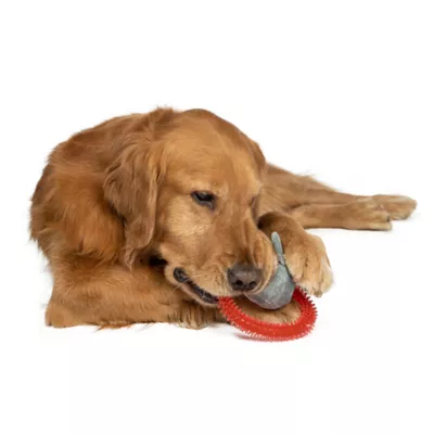 Product GMason Jaws Ring Plush Dog Toy