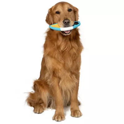 Product GMason Jaws Latex Surfboard Dog Toy
