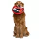 Product GMason Jaws Amity Island Ring Dog Toy