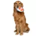 GMason Jaws Oxford Disc Dog Toy image thumbnail 5