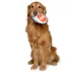 Product GMason Jaws Oxford Disc Dog Toy