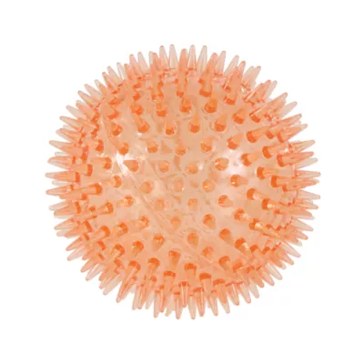 Joyhound® Spiky Ball Dog Toy, 4.5 in - Image 1