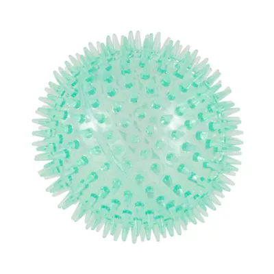 Product Joyhound® Spiky Ball Dog Toy, 4.5 in