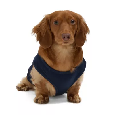 Product HOTEL DOGGY  "Canada Day" Theme Jersey Tank Top
