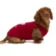 Product HOTEL DOGGY "Canada" Maple leaf & Paw Jersey Tank Top