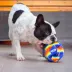 Nerf Color Blast Squeaker Ball Dog Toy image thumbnail 2