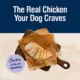 Product Blue Buffalo® True Solutions™ Jolly Joints All Life Stages Dry Dog Food - Chicken