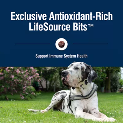 Product Blue Buffalo® True Solutions™ Jolly Joints All Life Stages Dry Dog Food - Chicken