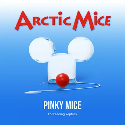 Arctic Mice Frozen Pinky Mice - Image 1