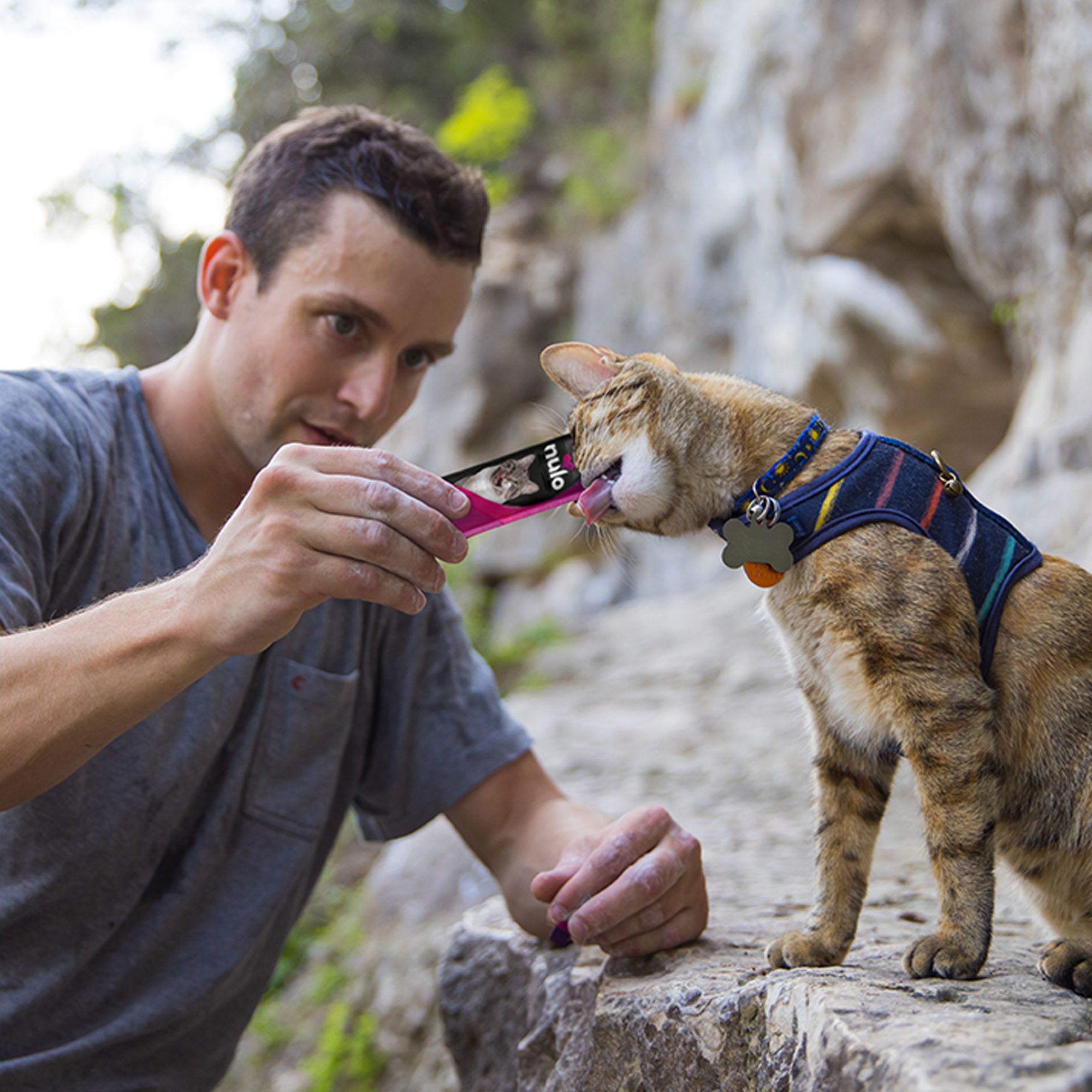 Nulo Perfect Puree Lickable Cat Treats Variety Pack - thumbnail 9
