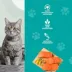 McLovin's Pet Freeze Dried Cat Treats - 1 Oz image thumbnail 4