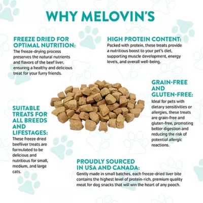 McLovin's Pet Freeze Dried Cat Treats - 1 Oz - Image 5