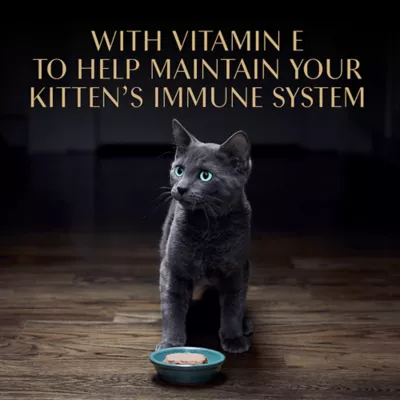 Product Sheba® Kitten Wet Cat Food - Turkey, 1 CT, 2.64 OZ