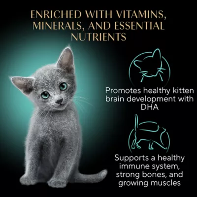 Product Sheba® Kitten Wet Cat Food - Turkey, 1 CT, 2.64 OZ
