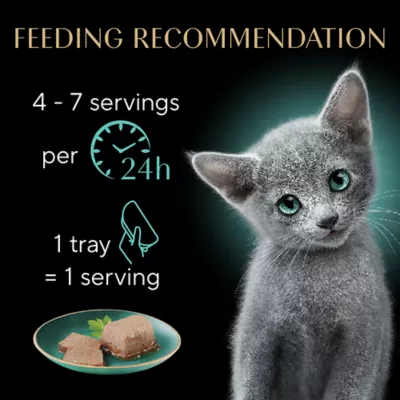 Product Sheba® Kitten Wet Cat Food - Turkey, 1 CT, 2.64 OZ