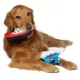 Product GMason Jaws Boat & Wave Plush Dog Toy 2-Pack