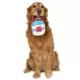 Product GMason Jaws Chum Bucket Plush Dog Toy