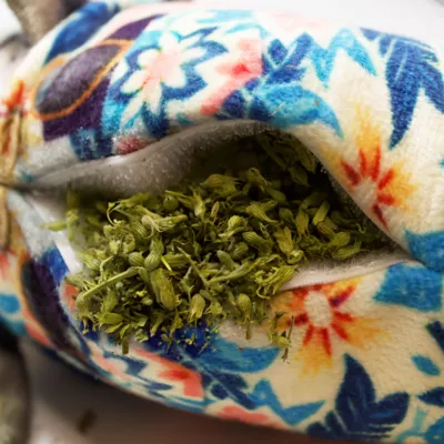 Product Meowijuana® Get Kickin' Big Fishy Tourist Catnip Kicker Cat Toy