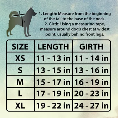 Jurassic World Dino Dog T-Shirt - Image 3