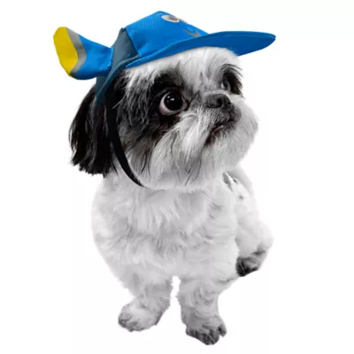 Product Disney Pixar Finding Dory Pet Hat
