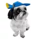 Product Disney Pixar Finding Dory Pet Hat