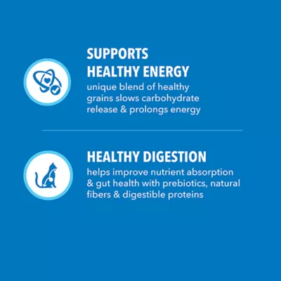 Product IAMS Proactive Health Adult Indoor Weight & Hairball Care - Chicken