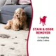 Product Nature's Miracle Dog Stain & Odor Remover Foam, 17.5 oz