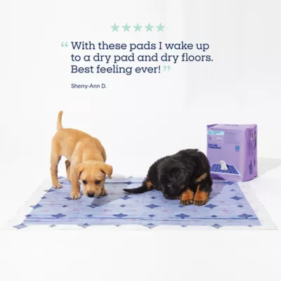 Product Pet Life Unlimited Smart Pads Pro, Overnight, XXL