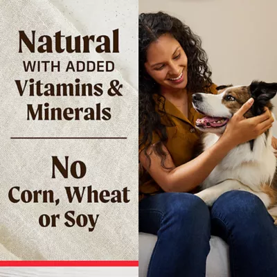 Product Merrick Healthy Bites Bone Broth Recipe, Dog Treats