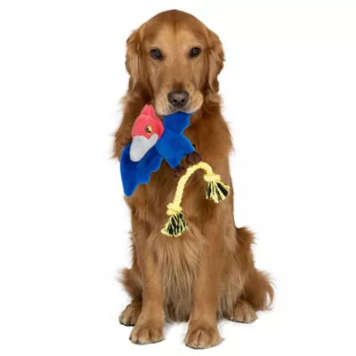 Product GMason Jurassic World Pteradon Dinosaur Plush Dog Toy