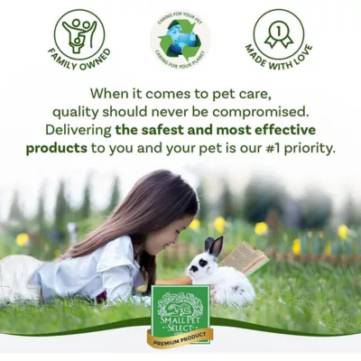 Product Small Pet Select Hair Buster Comb