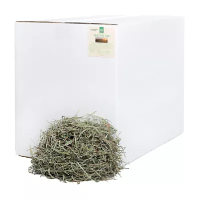 Product Small Pet Select 2nd Cut Timothy Hay