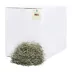 Small Pet Select 2nd Cut Timothy Hay image thumbnail 1