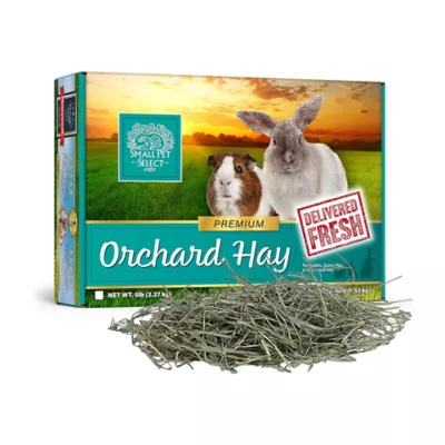 Product Small Pet Select Orchard Hay