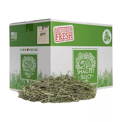 Product Small Pet Select 1st Cut Timothy Hay