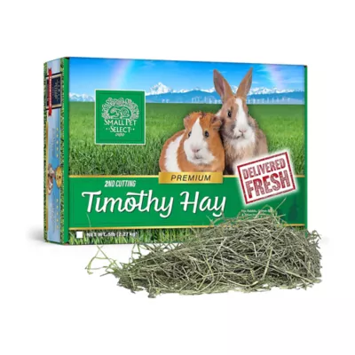 Product Small Pet Select 2nd Cut Timothy Hay