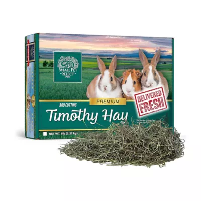 Product Small Pet Select 3rd Cut Timothy Hay