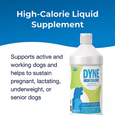 Product PetAg Dyne High Calorie Liquid Nutritional Supplement For Dogs