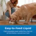 PetAg Dyne High Calorie Liquid Nutritional Supplement For Dogs image thumbnail 4