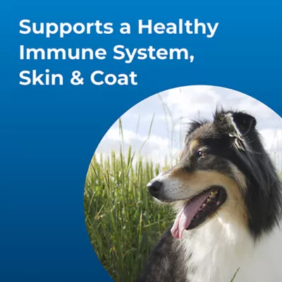 Product PetAg Dyne High Calorie Liquid Nutritional Supplement For Dogs