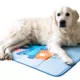 Product Disney Lilo and Stitch Cool Pet Pad