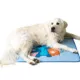 Product Disney Lilo and Stitch Cool Pet Pad